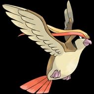 Pidgeot (Image via The Pokemon Company)